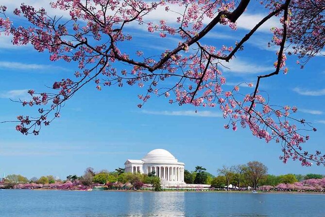 Washington Cherry Blossoms Guided Bus Tour - Tour Duration and Meeting Point