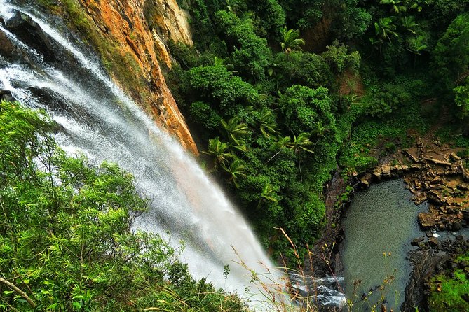 Waterfalls & Rainforest Tour: Surfers Paradise (Feb ) - Tour Highlights