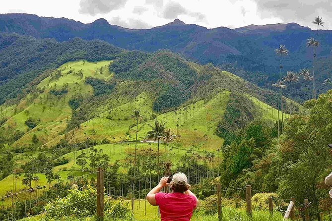 Wax Palms, Salento and Coffee Private Full Day Tour - Tour Highlights
