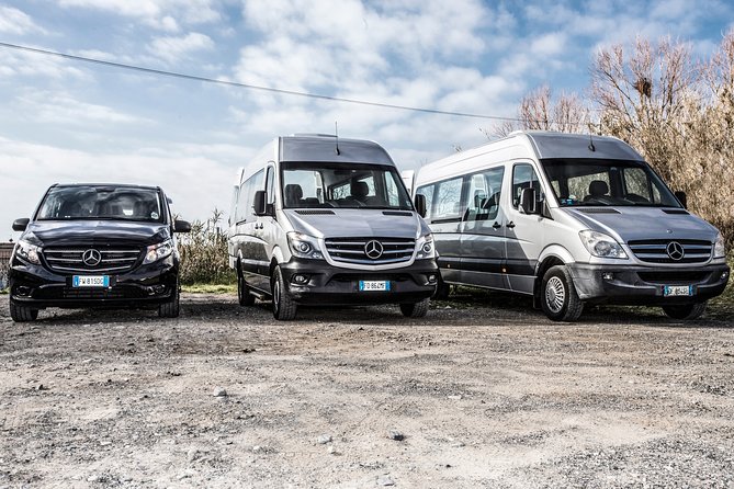 Weekly Tours - Pricing and Booking Details