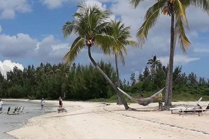 West End, Freeport, and Swimming With Pigs Private Tour - Traveler Reviews