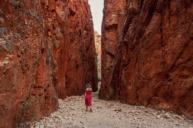 West Macdonnell Ranges & Standley Chasm Day Trip From Alice Springs - Tour Overview