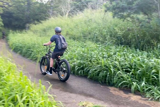 West Maui Ebike Island Explorer Full-Day Rental - Rental Pricing and Booking Process