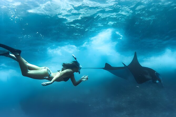 West Penida Island Private Day Tour With Lunch and Snorkeling  - Kuta - Pricing and Booking Details