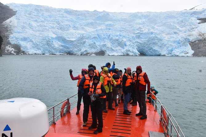 Whale and Glacier Watching From Punta Arenas Francisco Coloane Park - Experience Highlights