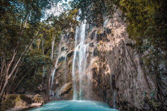 Whale Shark Encounter, Tumalog Falls and Monkey Sanctuary Tour - Tour Highlights