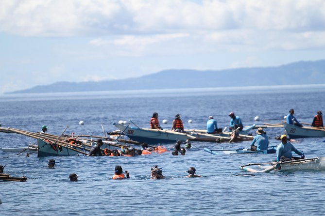 Whale Shark Swimming Experience and Aguinid Falls From Cebu - Cancellation Policy