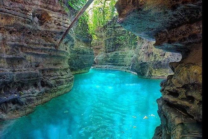 Whale Shark Watching With Canyoneering & Kawasan Falls Sumilon Sandbar - Cancellation and Refund Policy