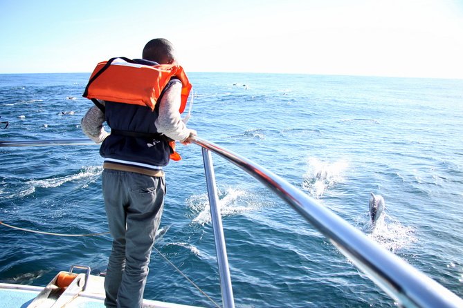 Whale Watching From Gansbaai - Inclusions and Exclusions