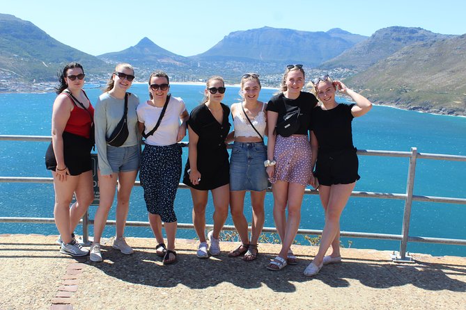 Whale Watching In Hermanus Penguins Wine Tasting From Cape Town - Activity Details