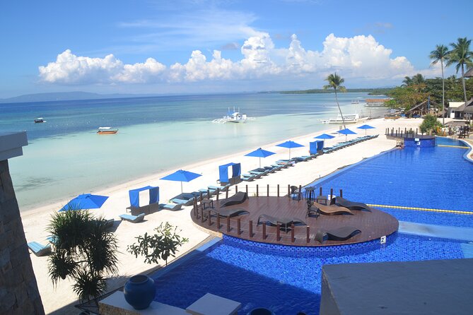 Whalesharks Interaction With Panglao Island Half Day Land Tour (Cebu or Bohol) - Good To Know