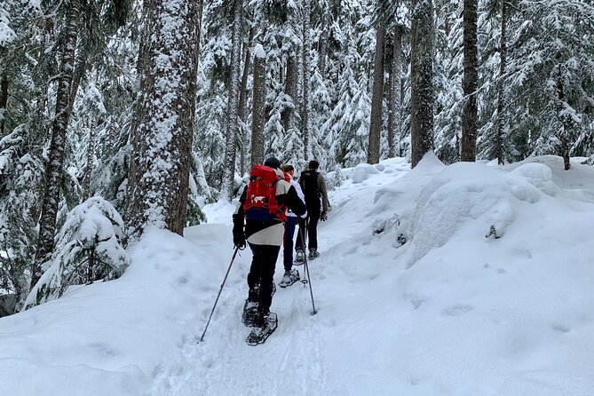 Whistler Lost Lake Snowshoeing and Village Tour - Tour Details and Inclusions