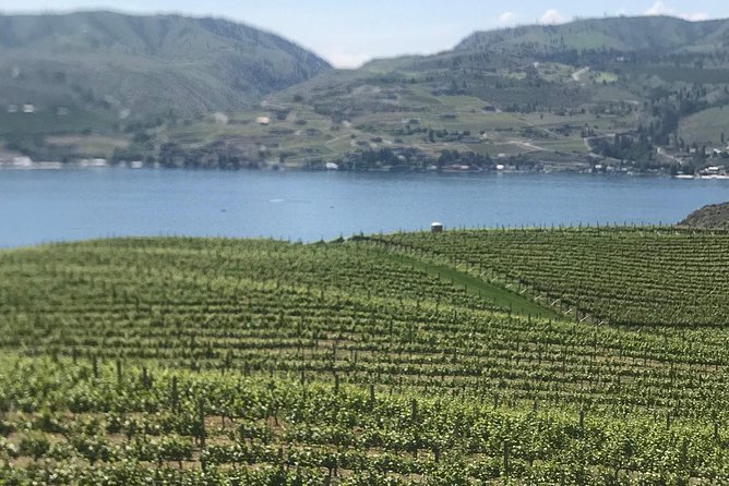 Whitewater and Wine: Wenatchee River Whitewater Rafting and Winery Tour - Dining and Menu