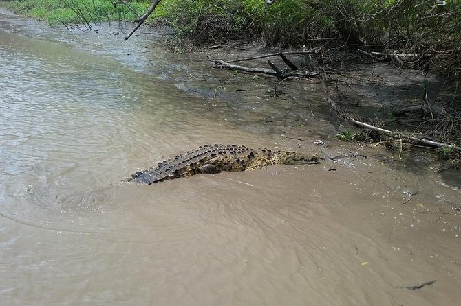 Wildlife Tour at Palo Verde National Park - Tour Itinerary