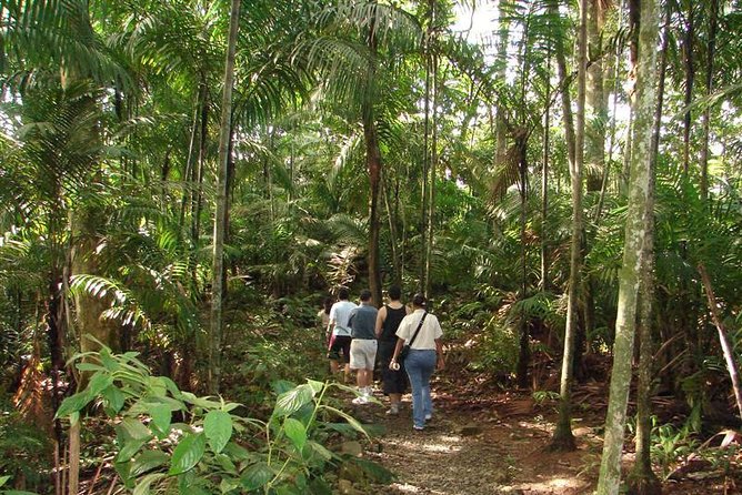 Wildlife Wonders Unveiled: Panama City Trail Tour - Tour Overview
