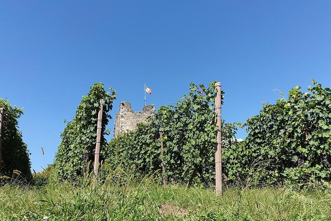 Wine and Food Tasting PRIVATE Guided Tour - Duration and Inclusions