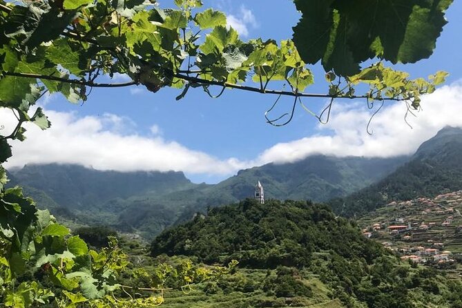 Wine Day Tour & Lunch in the Vineyard - Tour Highlights