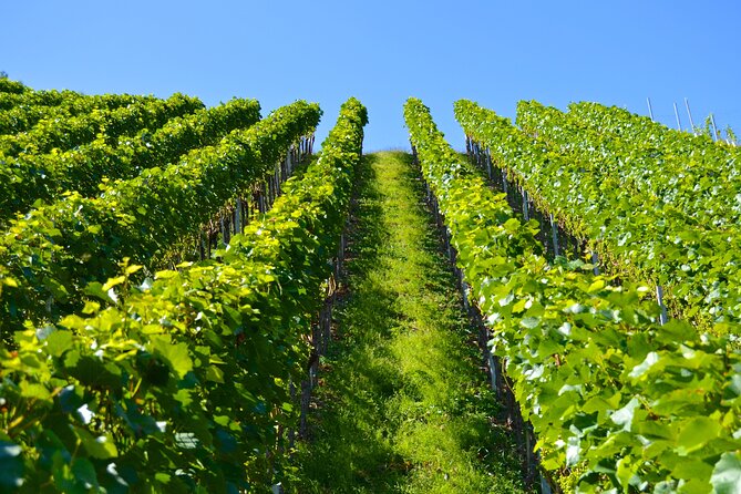 Wine History Tours in Willamette Valley Oregon - Booking Details