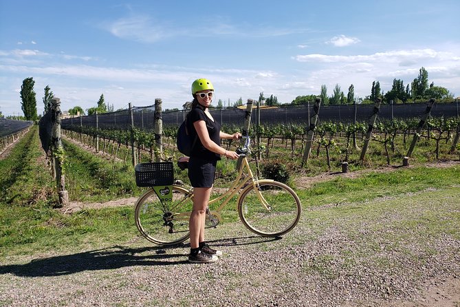 Wine-lovers' Dream: Tour, Taste, and Bike - Wine Culture Immersion