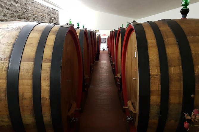 Wine Tasting and Horseback Riding in Montepulciano, in Tuscany From Rome - Tour Highlights
