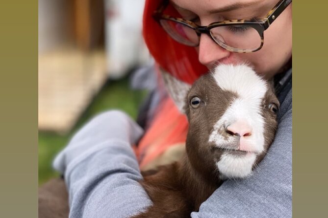Wine Tasting and Nigerian Dwarf Goats Experience - Overview and Booking Details
