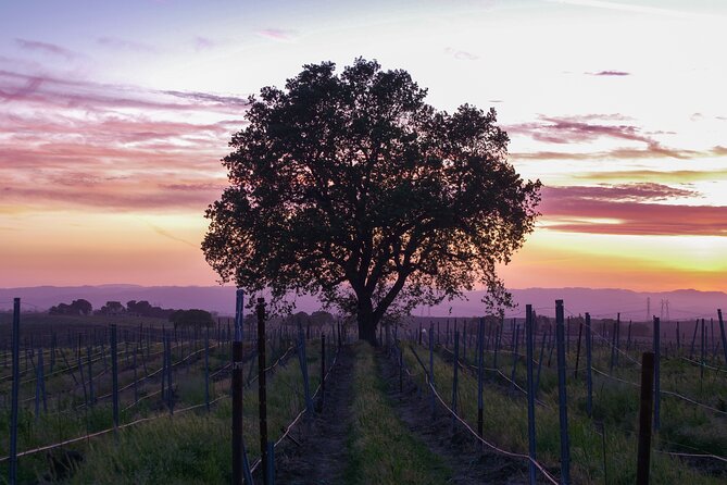 Wine Tasting Audio Tour - Calaveras County - Tour Overview