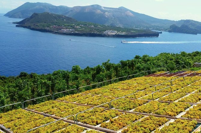 Wine Tasting in Vineyard at the Sunset in Lipari Island - Sunset Wine Tasting Experience