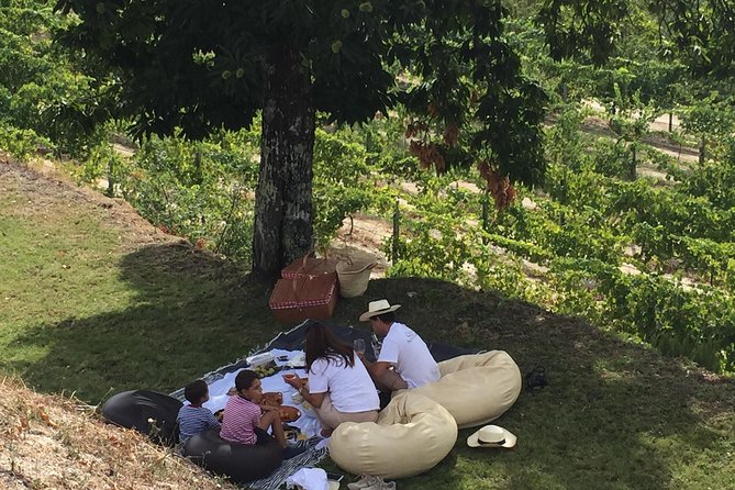 Wine Tasting & Lunch Quinta De Santa Cristina Vinho Verde - Overview of Quinta De Santa Cristina