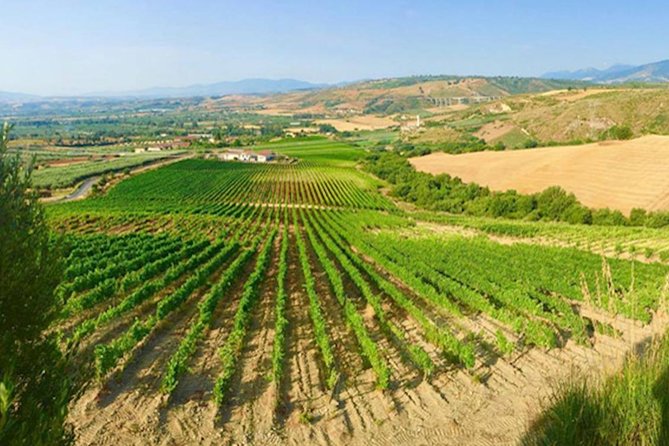 Wine Tour in Calabria - Tenuta Celimarro Winery - Tour Overview