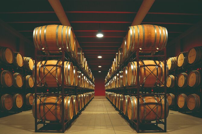 Winery Tour and Wine Tasting Experience in Pescara Countryside - Experience Details