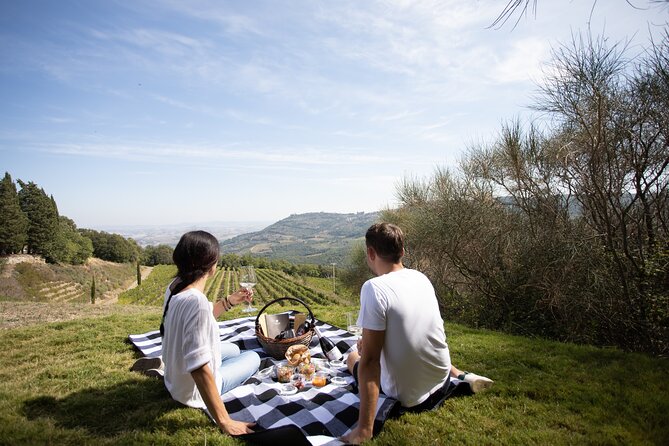 Winery Tour & Picnic in the Vineyard With a Bottle of Wine - Tour Highlights