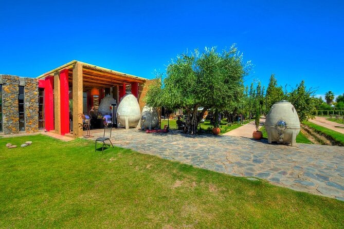 Winery Tour Thrills: Lunch, Drinks, and More - Tour Inclusions and Exclusions