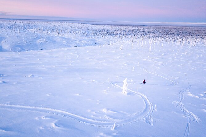 Winter Afternoon Group Ride in Saariselkä - Tour Details
