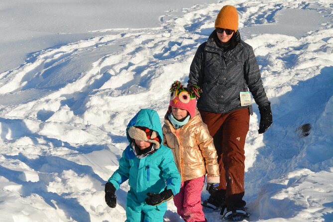 Winter Family Fun Day in Palmer Alaska - Event Overview