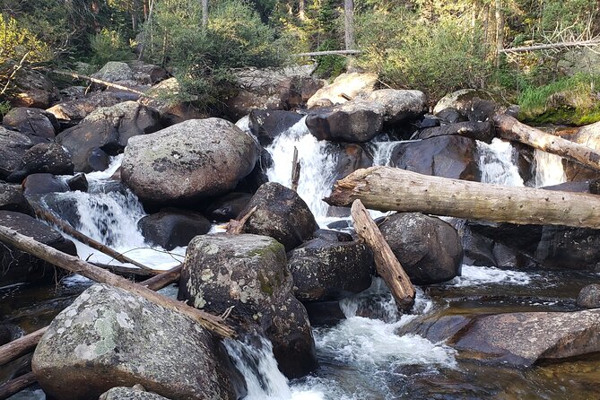 Womens Hike to Ouzel Falls in Rocky Mountain National Park - Hike Overview