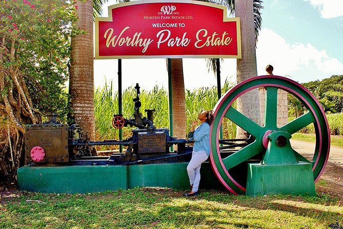 Worthy Park Estate Rum Private Tour - Tour Highlights