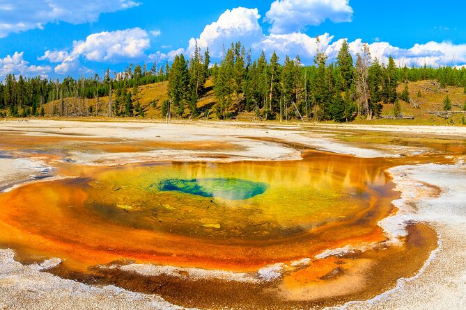 Yellowstone, Glacier and Grand Teton Self Guided Audio Tour - App Features