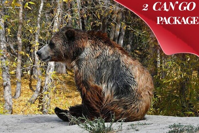 Yellowstone, Grand Teton, and Hot Springs: Small Group 5-Day Tour - Tour Duration and Accommodation