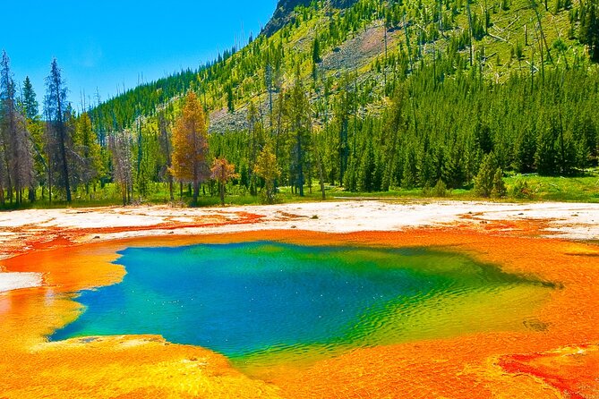 Yellowstone Hot Springs and Geyser Basins Tour - Tour Overview