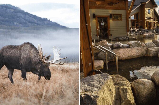 Yukon Wildlife Preserve & Eclipse Nordic Hot Springs - Introduction to Yukon Wildlife Preserve