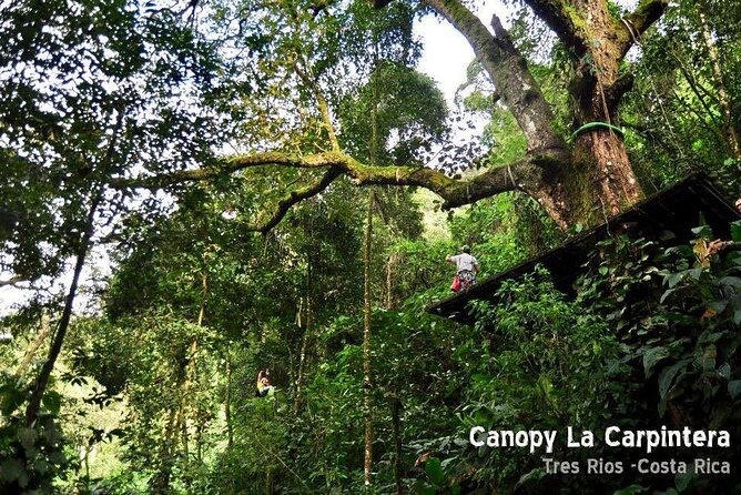 Zip Line La Carpintera. Half Day Tour Zipline Rappel Hiking in San Jose - Tour Overview and Details