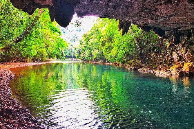 Zip Lining and Cave Tubing Caves Branch - Adventure Highlights