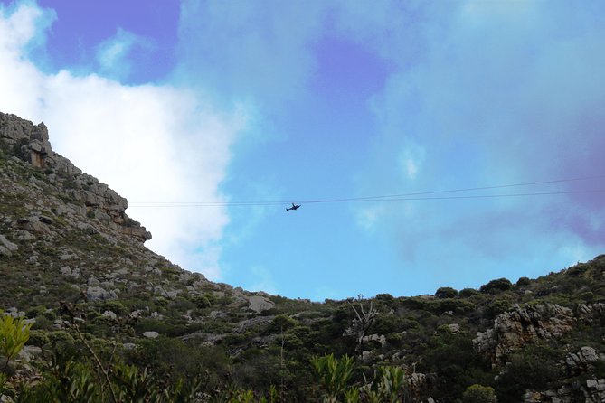Zip-lining in Cape Town - Based at the Foot of the Table Mountain Reserve - Zip-Lining Experience: Thrilling Adventure With Stunning Views
