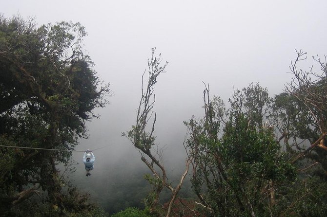 Zipline and Hanging Bridges Combo Tour in Monteverde Cloud Forest - Pricing and Booking Information
