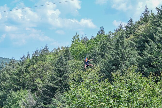 Zipline Canopy Activity Admission at Bristol Mountain - Activity Overview