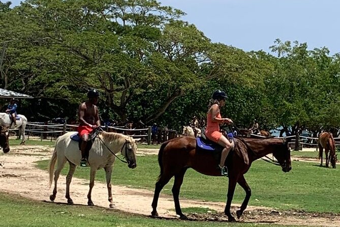 Zipline, Horseback Ride, ATV and Catamaran From Montego Bay - Pricing and Booking Information