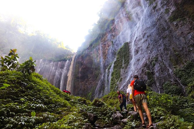 1Day - Tumpak Sewu Waterfall and Goa Tetes Cave Trekking - Good To Know