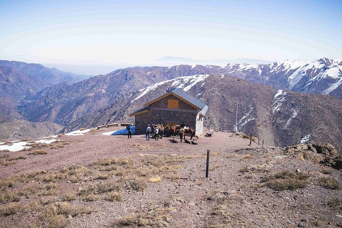 2.5-Hour Horseback Riding in Yerba Loca Park - Good To Know