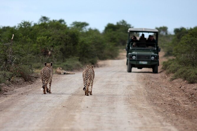 2 Day Big 5 Safari Tour of St Lucia, Hluhluwe, Imfolozi, Manyoni