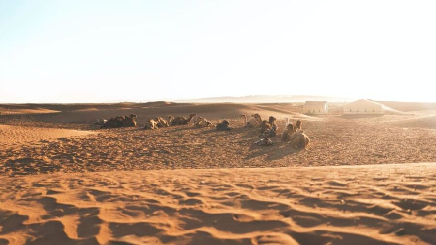 2 - Day Desert Tour From Marrakech to Zagora - Booking and Payment Details